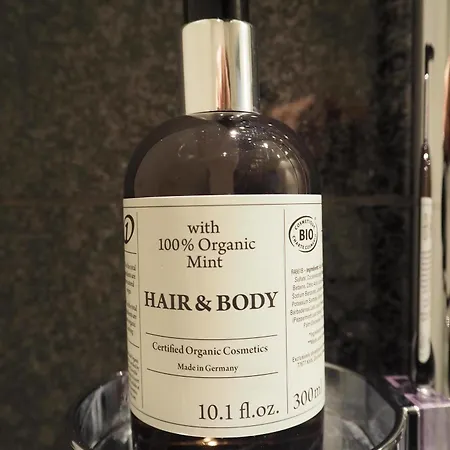 One Sendlinger Tor 3* Munique